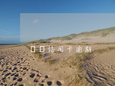 許濤信用卡逾期