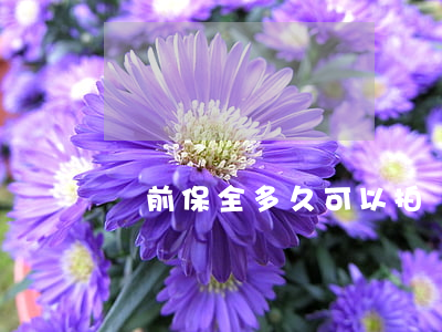 訴前保全多久可以拍賣房子