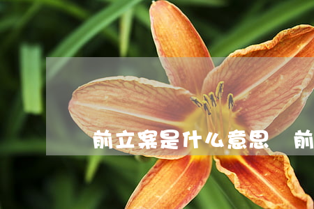 訴前立案是什么意思(訴前通知是什么意思)