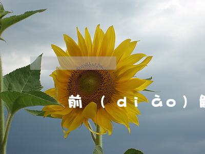 訴前調(diào)解原則是什么
