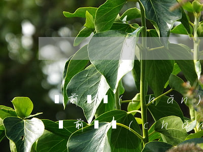 訴前財產(chǎn)保全后會通知被告嗎（訴前財產(chǎn)保全告知逾期不起訴后果）