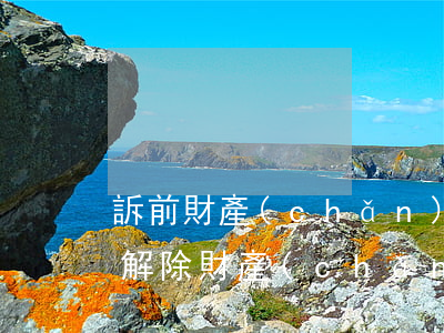 訴前財產(chǎn)保全法院可以解除嗎(解除財產(chǎn)保全必須由原告提出嗎)