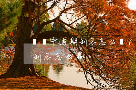 訴狀中逾期利息怎么計(jì)算(起訴逾期利息怎么算)
