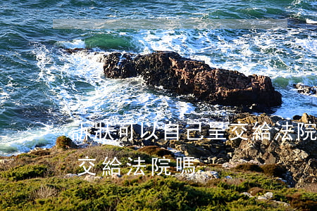 訴狀可以自己呈交給法院嗎(訴狀可以自己呈交給法院嗎)