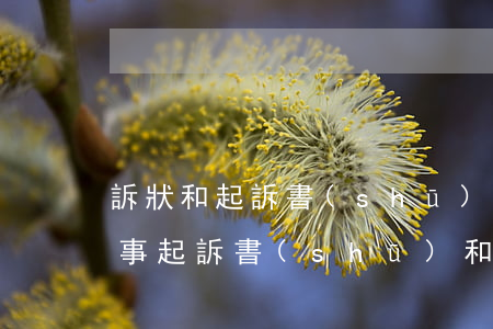 訴狀和起訴書(shū)的區(qū)別(民事起訴書(shū)和民事起訴狀的區(qū)別)