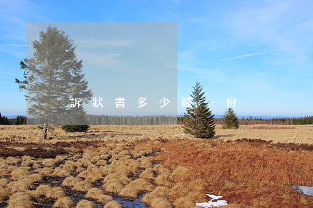 訴狀書多少錢一份