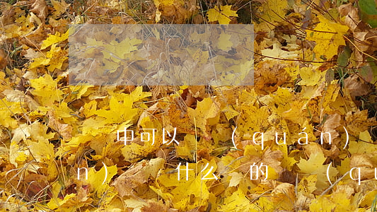 訴訟中可以債權(quán)轉(zhuǎn)讓嗎(什么樣的債權(quán)不能轉(zhuǎn)讓)