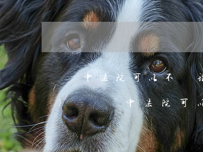 訴訟中法院可以不處理離婚財產(chǎn)嗎(訴訟中法院可以不處理離婚財產(chǎn)嗎)