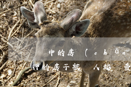 訴訟中的房產(chǎn)可以被抵押嗎(抵押的房子被別人起訴查封,我該怎么辦)