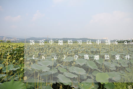 訴訟中離婚可以申請(qǐng)人身保護(hù)令嗎(離婚案件申請(qǐng)保護(hù)令)