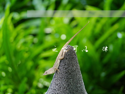 訴訟之前可以換律師嗎(打官司可以換律師嗎?)