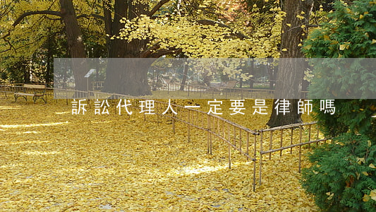 訴訟代理人一定要是律師嗎