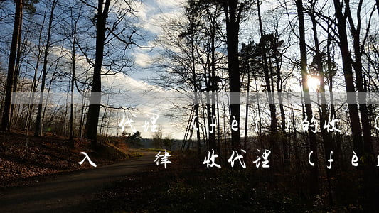 訴訟代理費(fèi)的收據(jù)可以入賬嗎(律師收代理費(fèi)開收據(jù)嗎)
