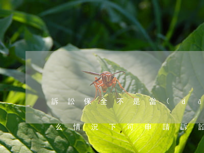訴訟保全不是當(dāng)事人可以嗎(什么情況下可申請訴訟保全)