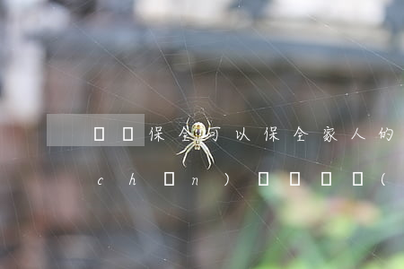訴訟保全可以保全家人的財(cái)產(chǎn)嗎(訴訟財(cái)產(chǎn)保全法律規(guī)定)