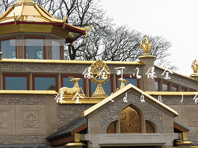 訴訟保全可以保全擔(dān)保人嗎(可以保全擔(dān)保人的財產(chǎn)嗎)