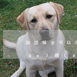 訴訟保全可以用不動(dòng)產(chǎn)擔(dān)保嗎(可以保全擔(dān)保人的財(cái)產(chǎn)嗎)