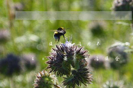 訴訟保全可以用不動產(chǎn)擔(dān)保嗎(可以保全擔(dān)保人的財產(chǎn)嗎)