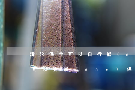 訴訟保全可以自行擔(dān)保嗎(起訴時可以對擔(dān)保人進行財產(chǎn)保全嗎)