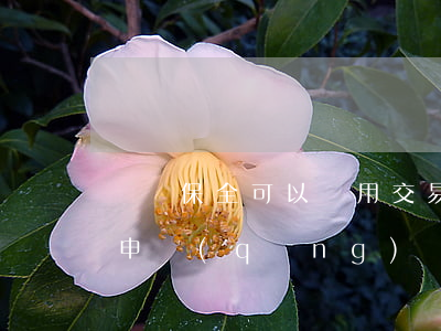 訴訟保全可以適用交易程序嗎(訴訟期間可以申請(qǐng)財(cái)產(chǎn)保全嗎?)