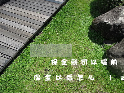 訴訟保全就可以提前執(zhí)行嗎(訴前保全以后怎么執(zhí)行)