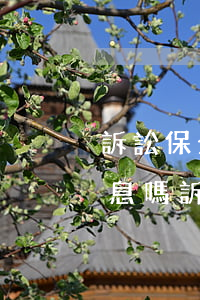 訴訟保全律師可以查到房產(chǎn)信息嗎(訴訟保全律師可以查到房產(chǎn)信息嗎)