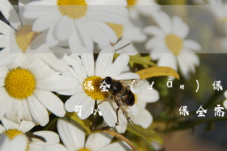 訴訟保全擔(dān)保房產(chǎn)證可以給嗎(訴訟保全需要提供擔(dān)保嗎)