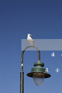 訴訟保全擔(dān)保物品可以更換嗎(訴訟保全需要提供等額財(cái)產(chǎn)擔(dān)保嗎)