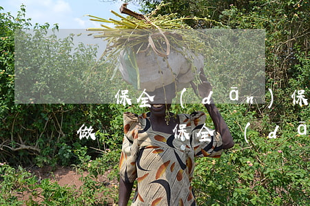 訴訟保全擔(dān)保費(fèi)怎么做賬(訴訟保全擔(dān)保費(fèi)用怎么收取?)