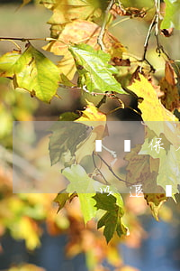 訴訟保全擔(dān)保費(fèi)用可以退還嗎(保全擔(dān)保費(fèi)什么時(shí)候可以退)