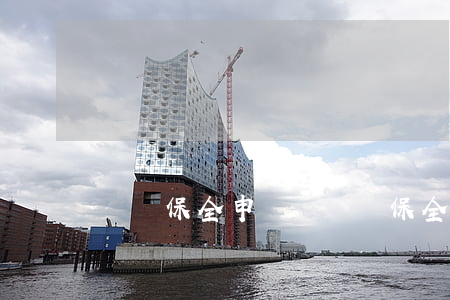 訴訟保全申請書(訴訟保全申請書擔保材料)