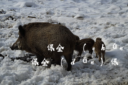 訴訟保全財產(chǎn)可以解封嗎(訴訟保全擔(dān)保財產(chǎn)的解封)