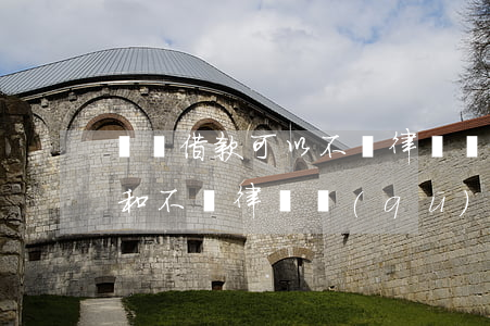 訴訟借款可以不請律師嗎(打借款官司請律師和不請律師區(qū)別)