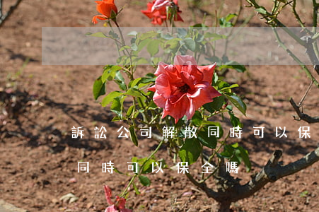 訴訟公司解散同時可以保全嗎(訴訟公司解散同時可以保全嗎)