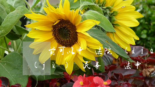 訴訟前可以申請法院調(diào)取證據(jù)嗎(民事訴訟法申請法院調(diào)取證據(jù)的規(guī)定)