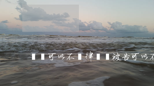 訴訟可以不請律師嗎(被告可以不請律師嗎)