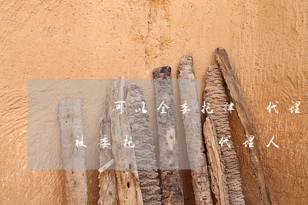 訴訟可以全委托律師代理嗎(只有律師才可以被委托為訴訟代理人嗎?)