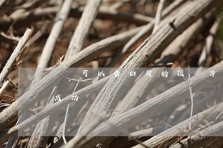 訴訟可以告公司的投資方嗎(投資款可以起訴成功嗎)