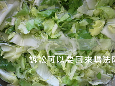 訴訟可以要回來嗎(法院起訴多久可以要回錢)