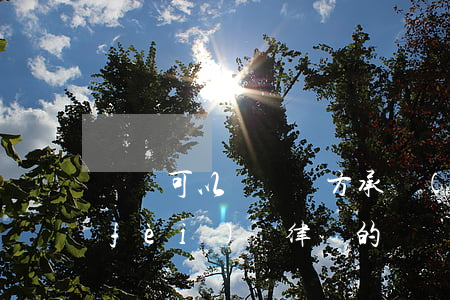 訴訟可以讓敗訴方承擔(dān)律師費(fèi)嗎(律師的訴訟費(fèi)是不是敗訴方付)
