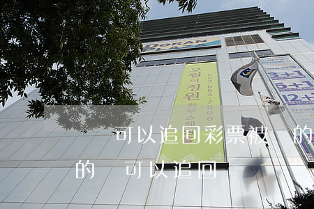 訴訟可以追回彩票被騙的錢嗎(彩票平臺被騙的錢可以追回來嗎)