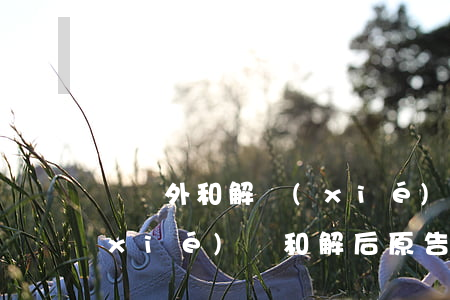 訴訟外和解協(xié)議可以訴訟嗎(協(xié)議和解后原告還能起訴嗎)