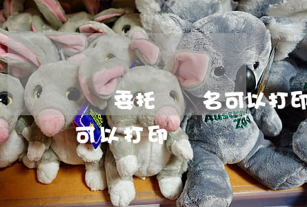 訴訟委托書簽名可以打印嗎(訴訟委托書簽名可以打印嗎)