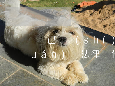 訴訟已過時(shí)效可以有追索權(quán)嗎(法律為什么有追訴時(shí)效)