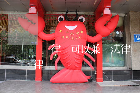 訴訟律師可以兼職法律顧問嗎(律師可以做法律顧問嗎)