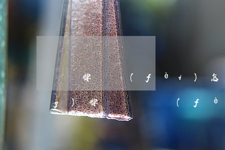 訴訟律師費(fèi)怎么做賬(請(qǐng)律師訴訟費(fèi)怎么付)