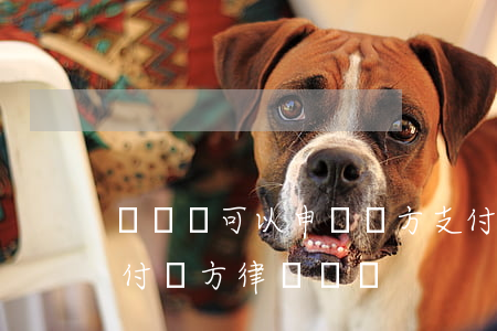 訴訟時可以申請對方支付律師費嗎(被起訴要付對方律師費嗎)