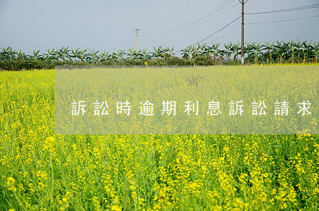 訴訟時逾期利息(訴訟請求逾期利息)
