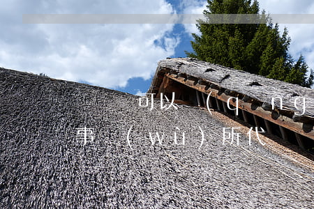 訴訟書可以請(qǐng)律師代寫嗎(律師事務(wù)所代寫協(xié)議書有法律效力嗎)
