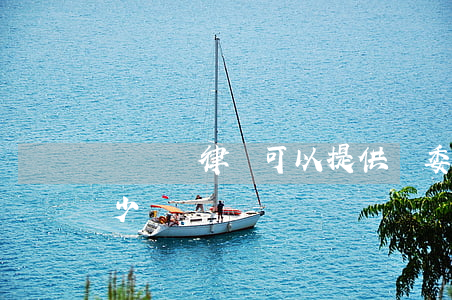 訴訟書律師可以提供嗎(委托律師寫訴訟書多少錢)